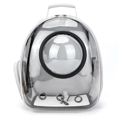 KittyKaves Carry On Transparent Backpack